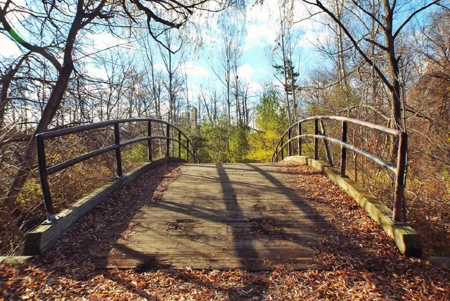 Autumn_bridge