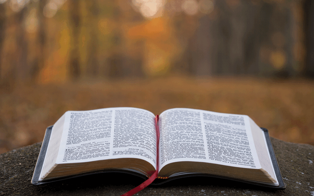 Autumn_Bible