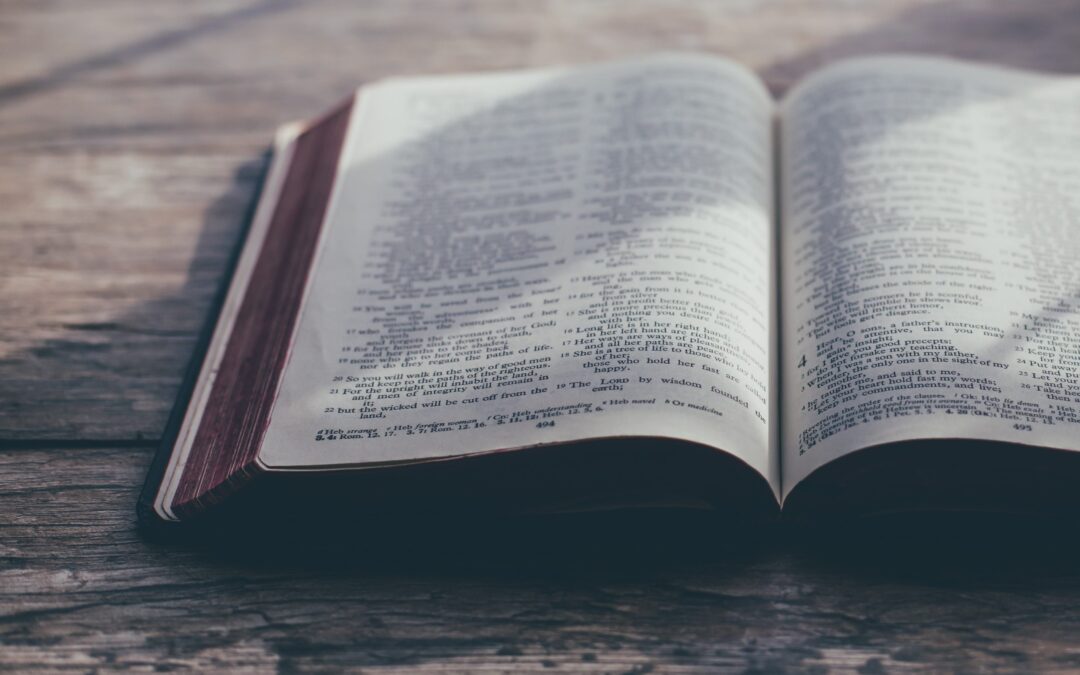 Bible_wood background