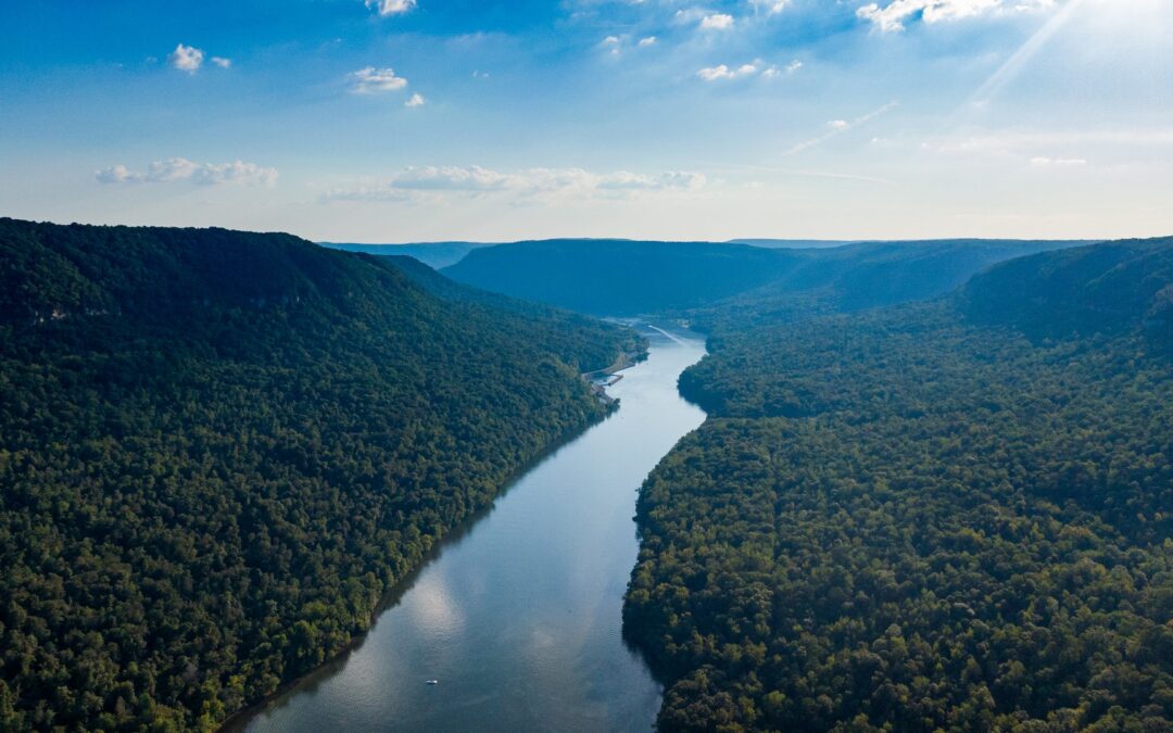 River_pexels-kellylacy